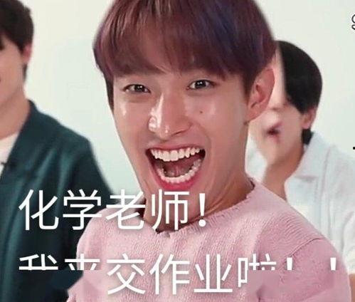 娱乐吃瓜酱丫头文学